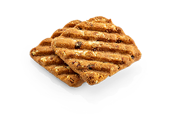 Choco Chip Biscuit