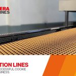 Cookie Production Lines: Key To A Successful Cookie Production Business