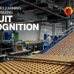 How Machine Learning Is Revolutionizing Biscuit Recognition