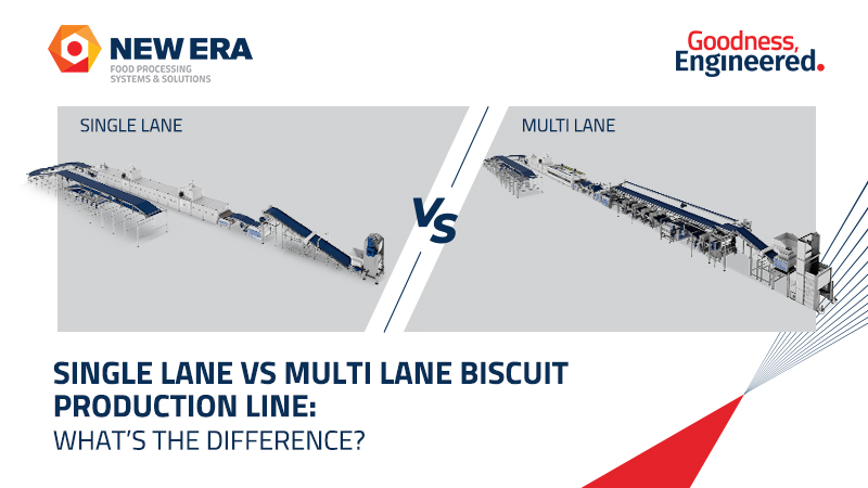 Single Lane vs Multi Lane Biscuit Production Line: What’s the Difference?